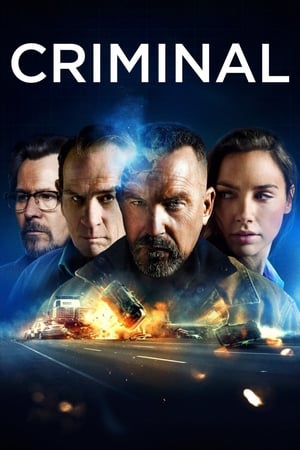 Criminal (2016) Dual Audio | Dubbed Hindi Movie BluRay 340MB