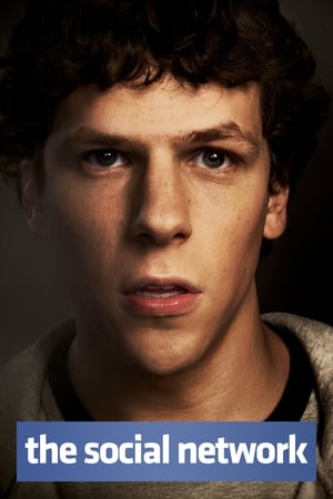 The Social Network 2010 Dual Audio | Dubbed Hindi Movie BluRay 400MB