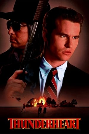Thunderheart (1992) Dual Audio | Dubbed Hindi Movie HDRip 400MB
